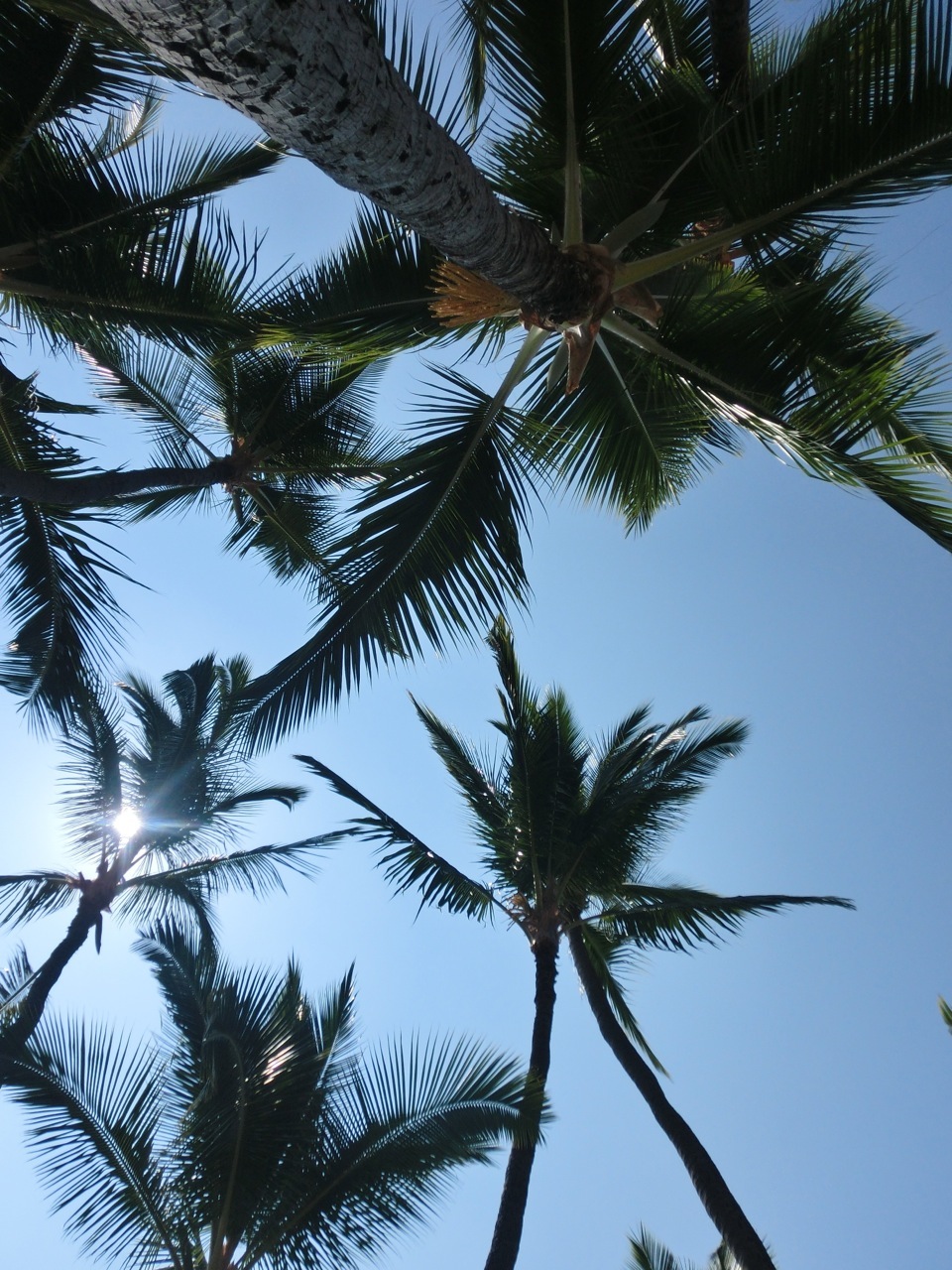 Triallan - Ironman Hawaii