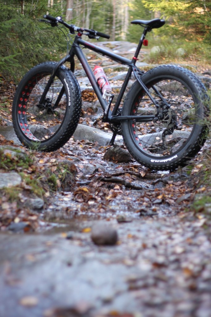 Fatbike - Diamant Mammut - Triallan