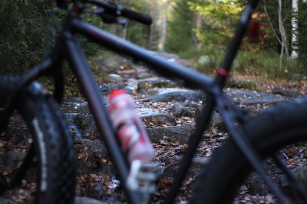 Fatbike - Diamant Mammut - Triallan