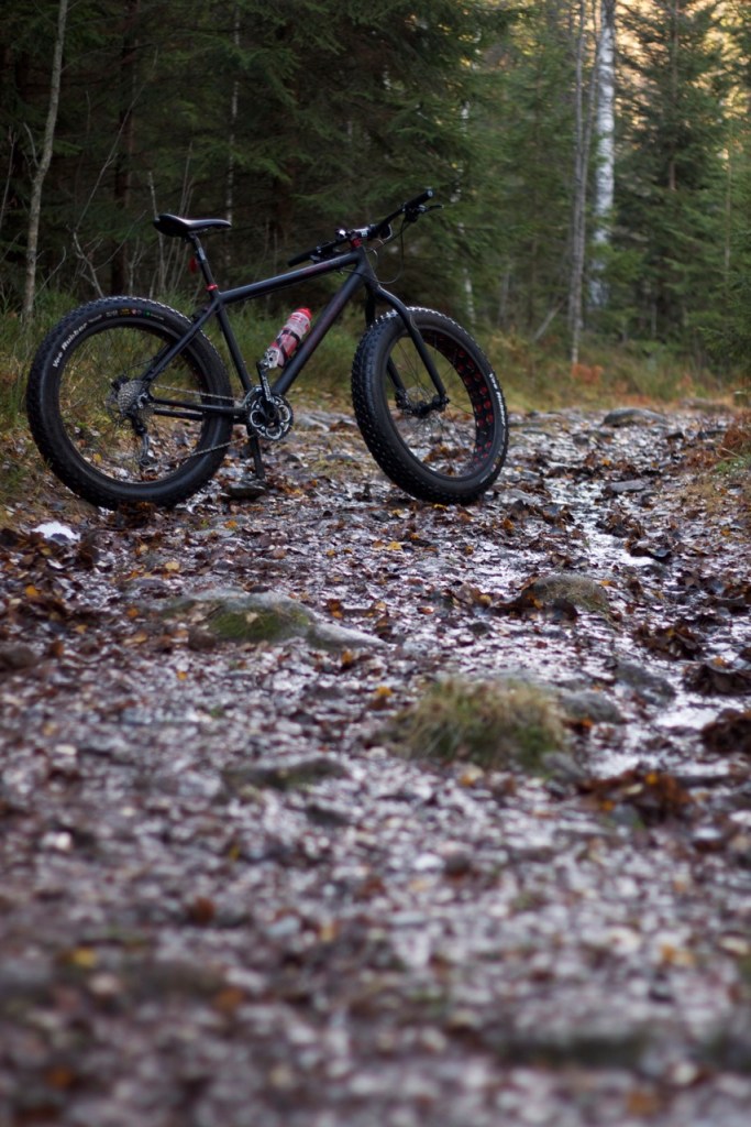 Fatbike - Diamant Mammut - Triallan