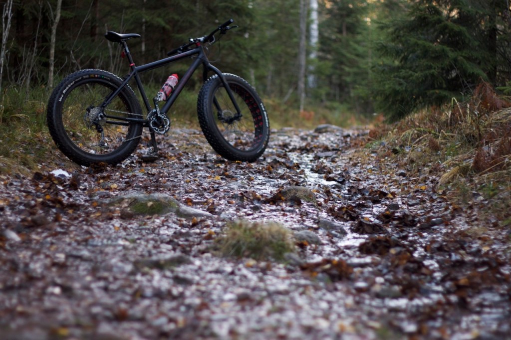 Fatbike - Diamant Mammut - Triallan