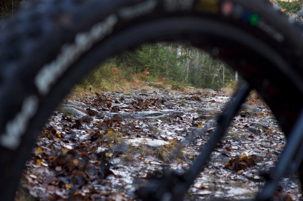 Fatbike - Diamant Mammut - Triallan