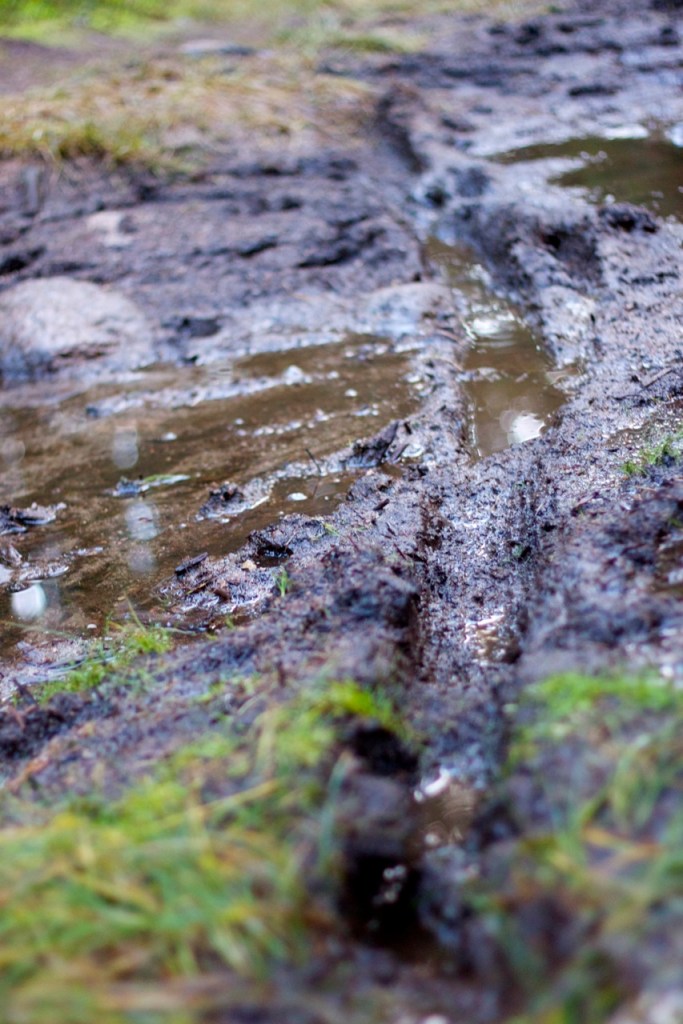 Fatbike - Diamant Mammut - Triallan