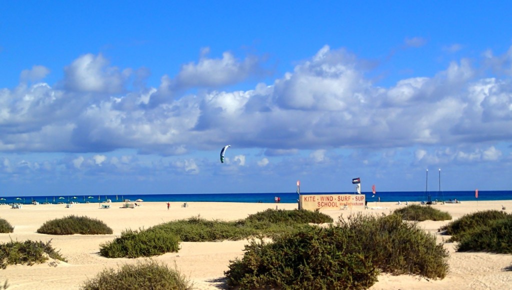 Triallan - Playitas - Specialized