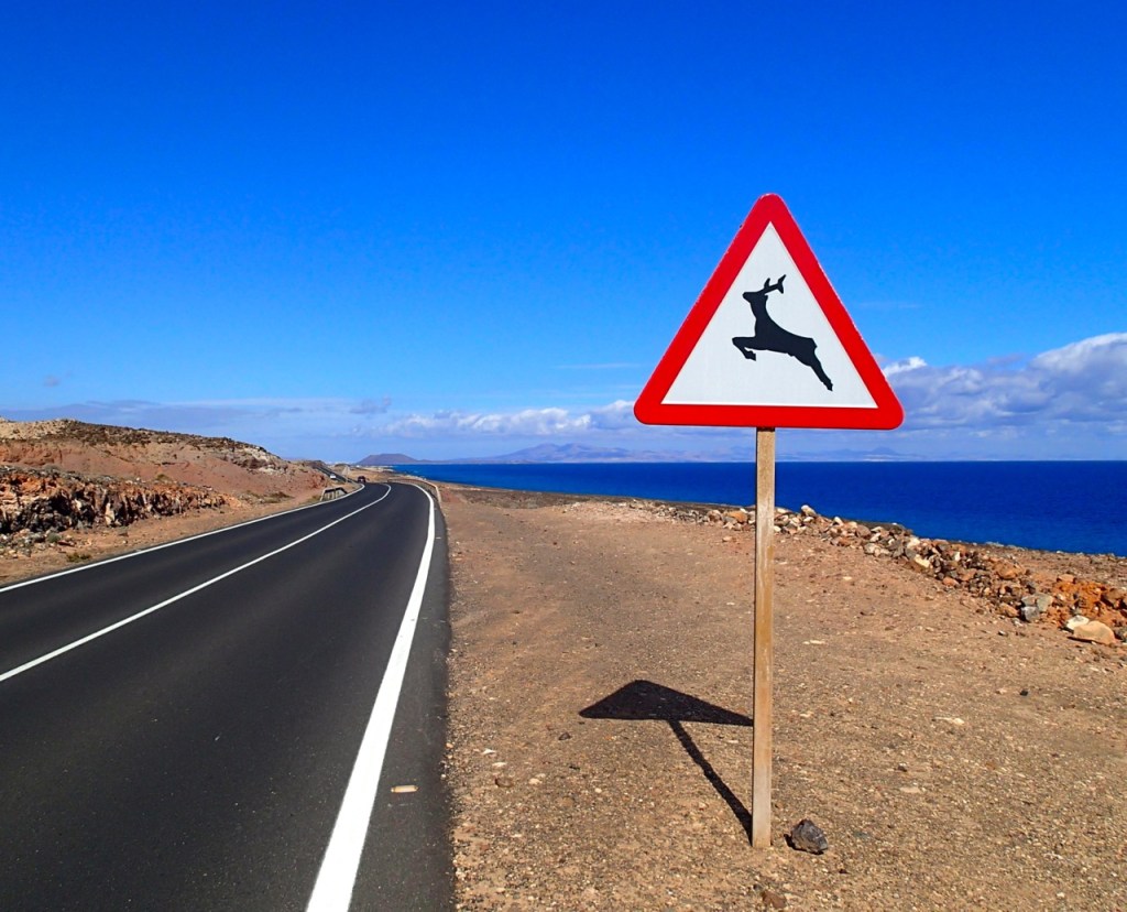 Triallan - Playitas - Specialized