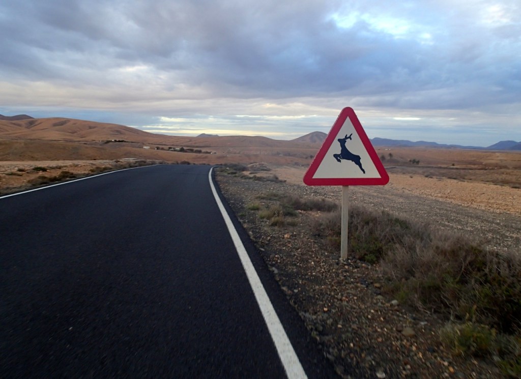 Triallan - Playitas - Specialized