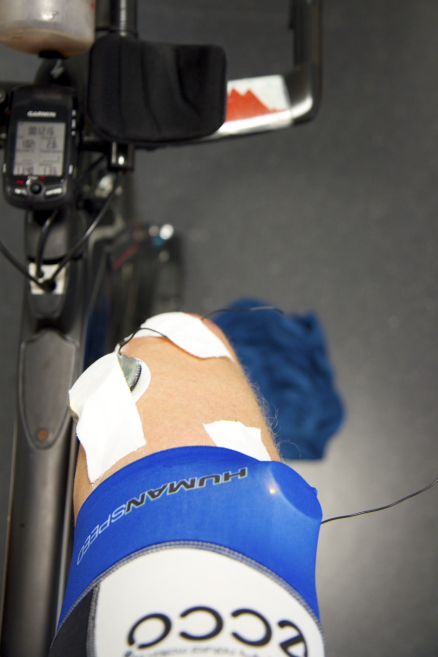 Triallan - Kine - Klinikk For Alle - Muskelaktivering