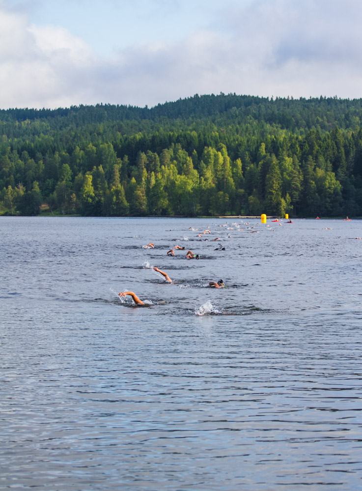 Triallan - Oslo Triathlon 2014-11