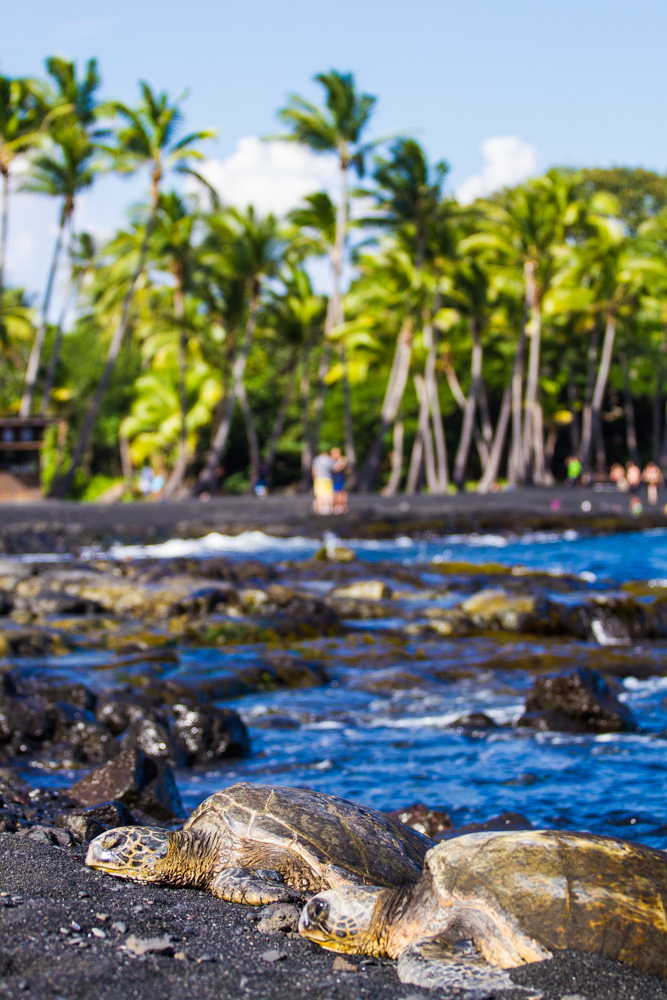 Black sand beach - Triallan - Ironman Hawaii - Allan Hovda-3