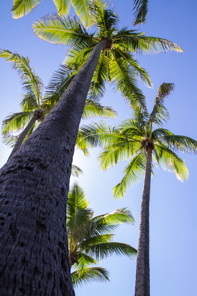 Black sand beach - Triallan - Ironman Hawaii - Allan Hovda-4