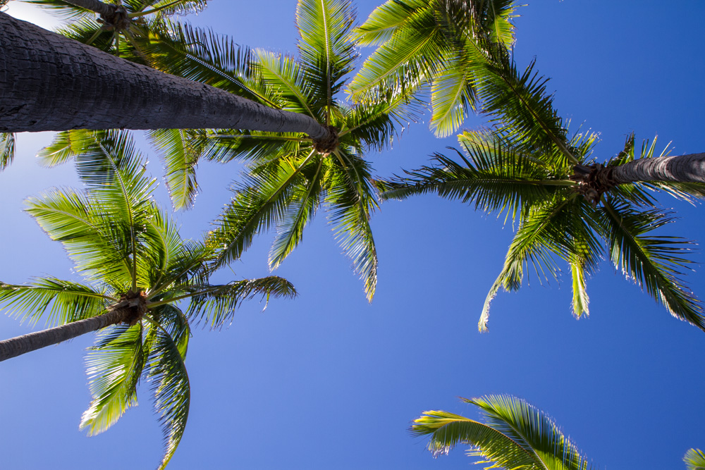 Black sand beach - Triallan - Ironman Hawaii - Allan Hovda-5