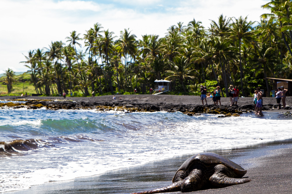 Black sand beach - Triallan - Ironman Hawaii - Allan Hovda-8