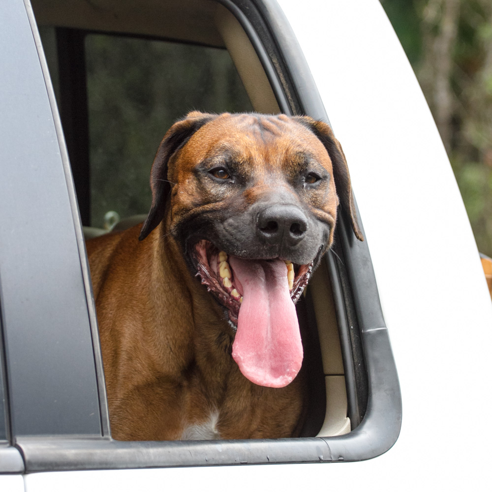 Triallan - Ironman Hawaii - HumanSpeed Trisuit - Aero-20