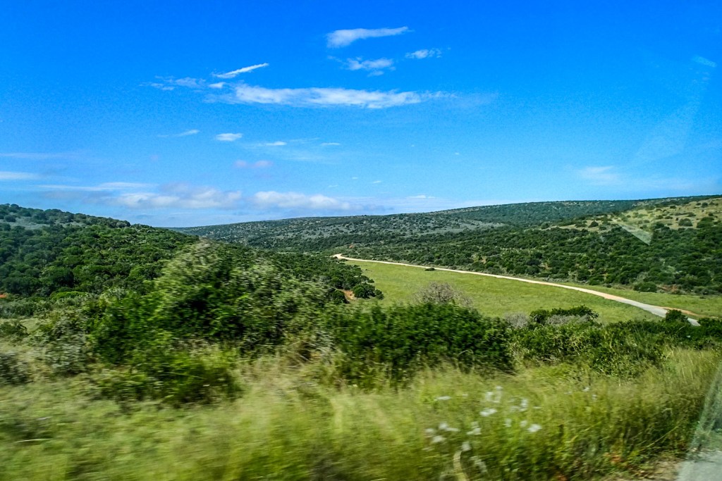 Triallan - Addo Elephantpark - Ironman South Africa