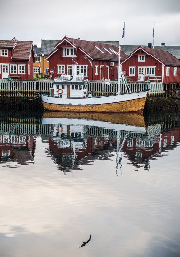 Triallan - Lofoten Triathlon - Svolvær - The Arctic Triple-19