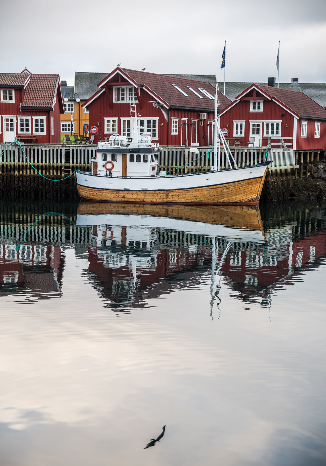 Blinkskudd fra Lofoten