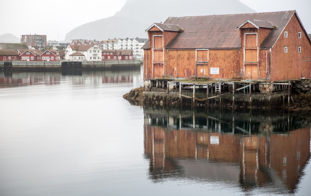 Triallan - Lofoten Triathlon - Svolvær - The Arctic Triple-21