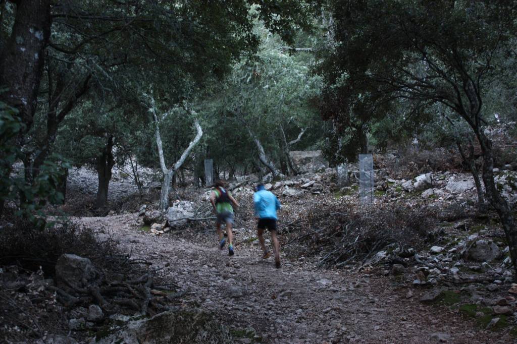 Caimari Epic Trail - Triallan - Allan Hovda - Biel Skog