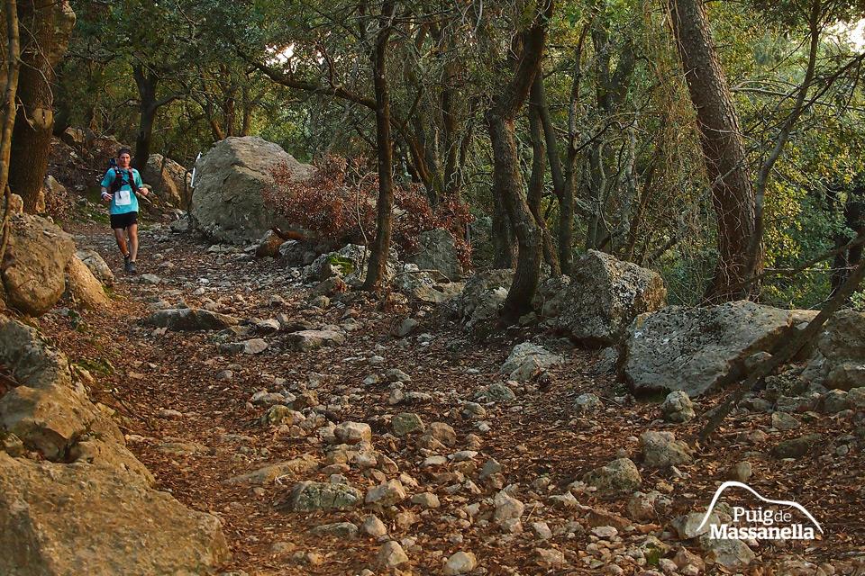 Caimari Epic Trail - Triallan - Allan Hovda - woods