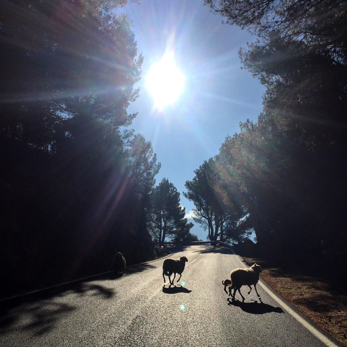 Triallan - Kill the hills - Mallorca