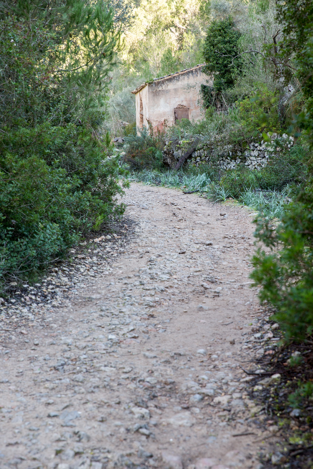 Triallan - Allan Hovda - Mallorca - Terrengløp - Fjelltur - Hiking-2