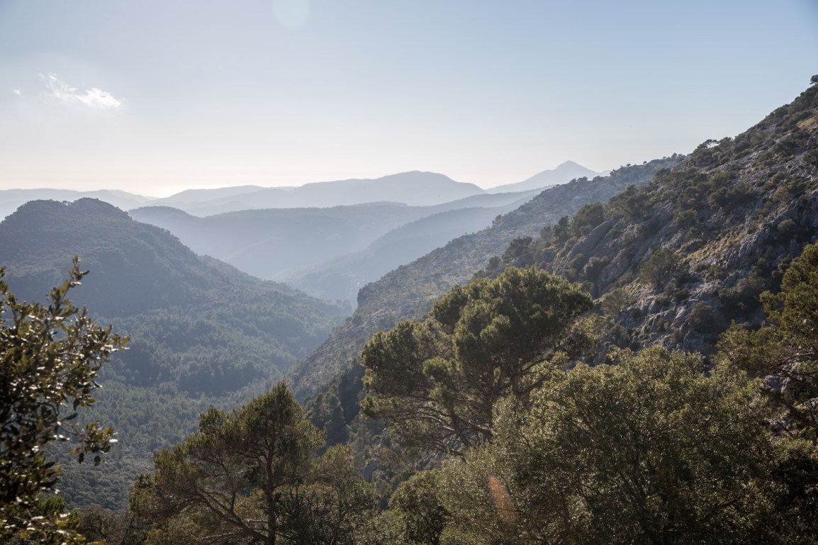 Triallan - Allan Hovda - Mallorca - Terrengløp - Fjelltur - Hiking-8