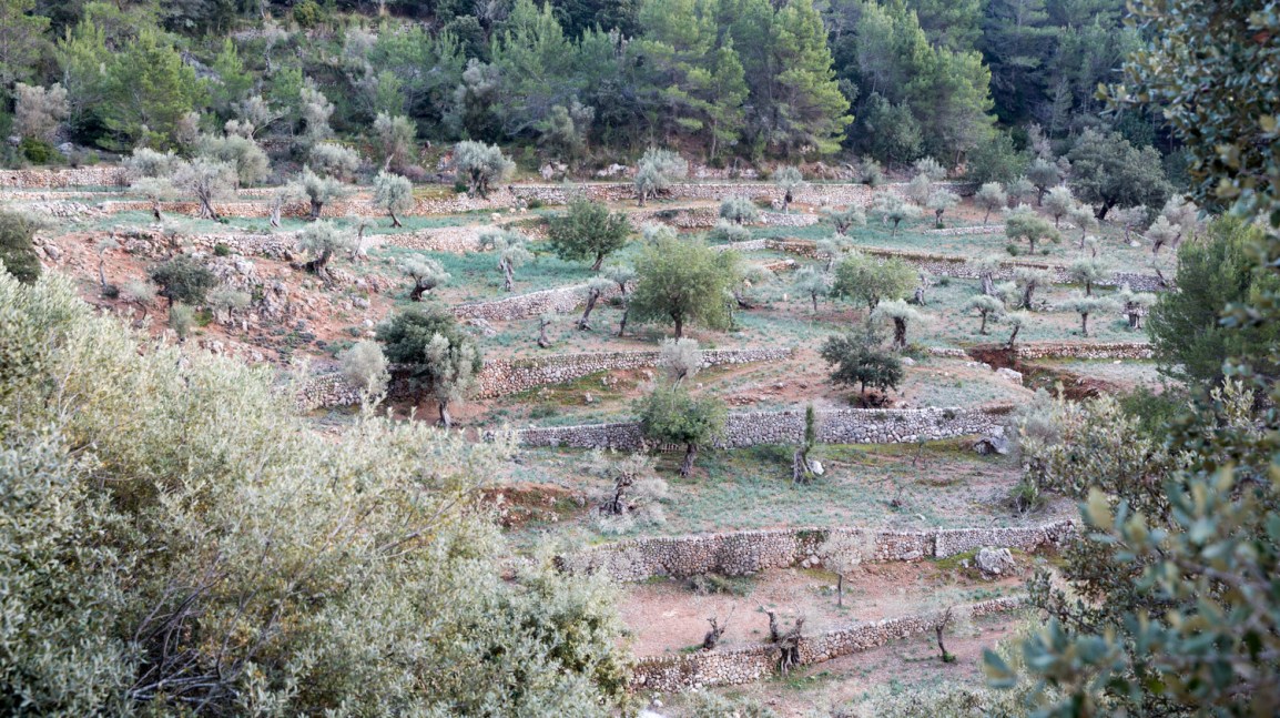Triallan - Allan Hovda - Mallorca - Terrengløp - Fjelltur - Hiking-15