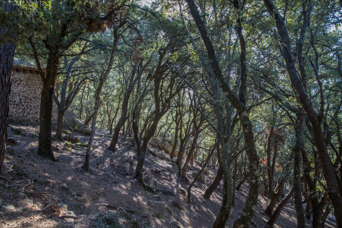 Triallan - Allan Hovda - Mallorca - Terrengløp - Fjelltur - Hiking-6