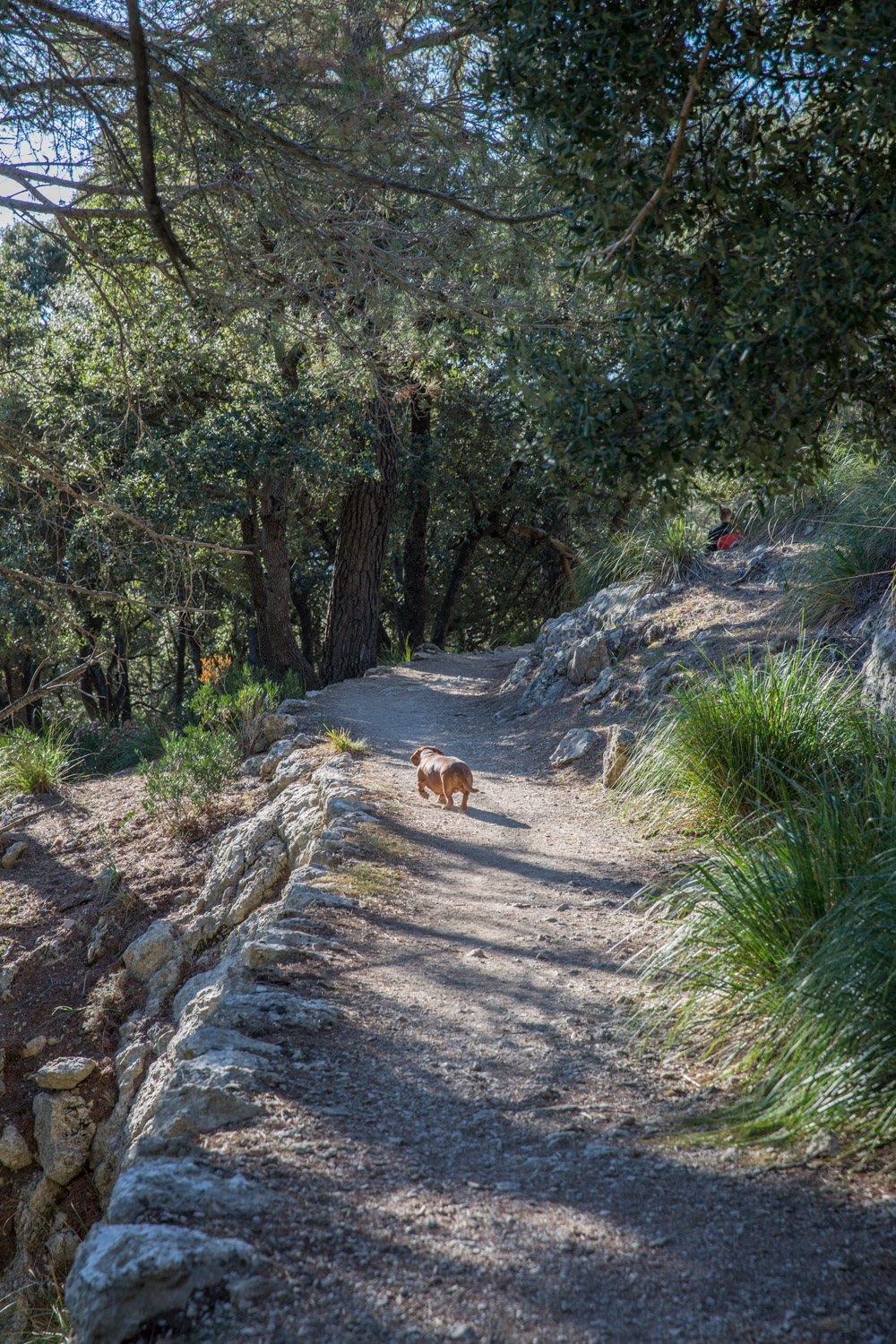 Triallan - Allan Hovda - Mallorca - Terrengløp - Fjelltur - Hiking-7