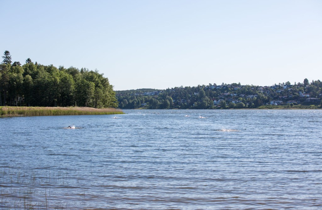 Triallan - Allan Hovda - Halvkællen triatlon 2016_-3