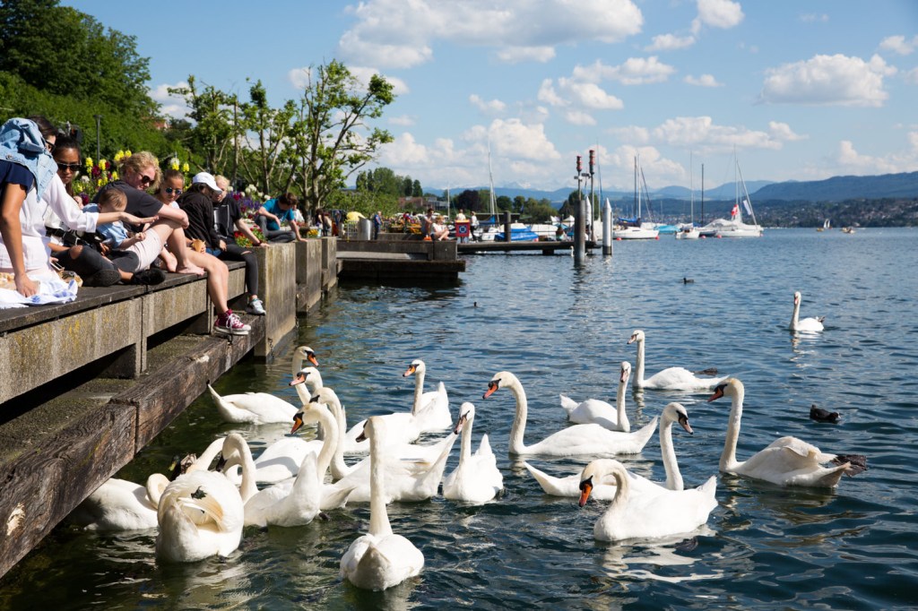 Swissman Xtreme triathlon 2016 - postrace - Allan Hovda - triallan - Hotel villa honegg - zurich-37