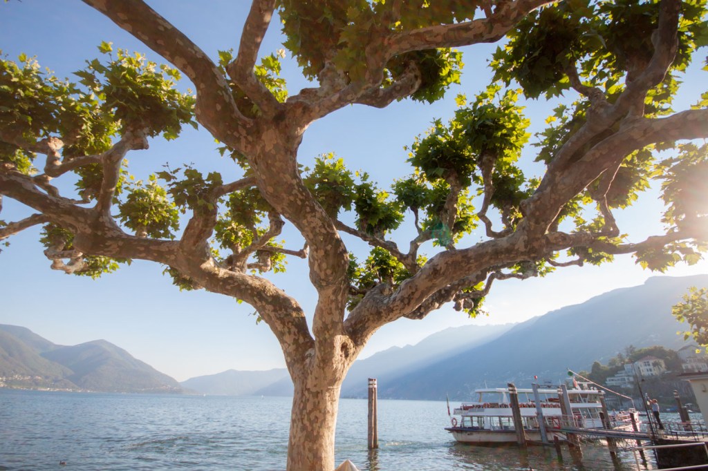 Swissman Xtreme triathlon 2016 - prerace - Allan Hovda - triallan - ascona-11