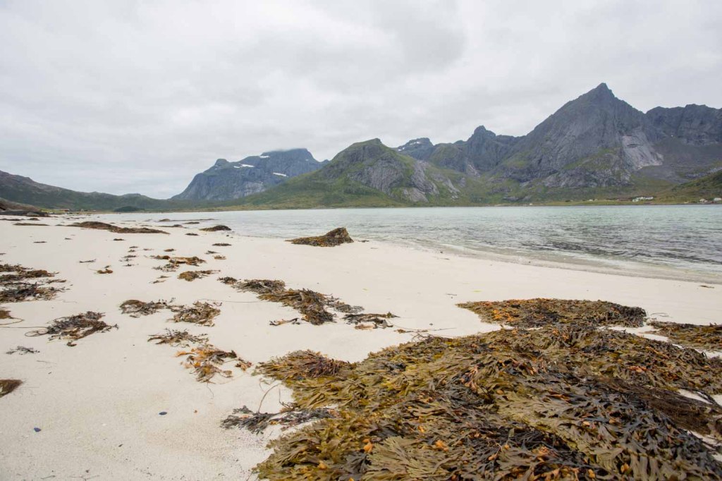 triallan-allan-hovda-lofoten-lofoten-triathlon-2016-the-arctic-triple-20