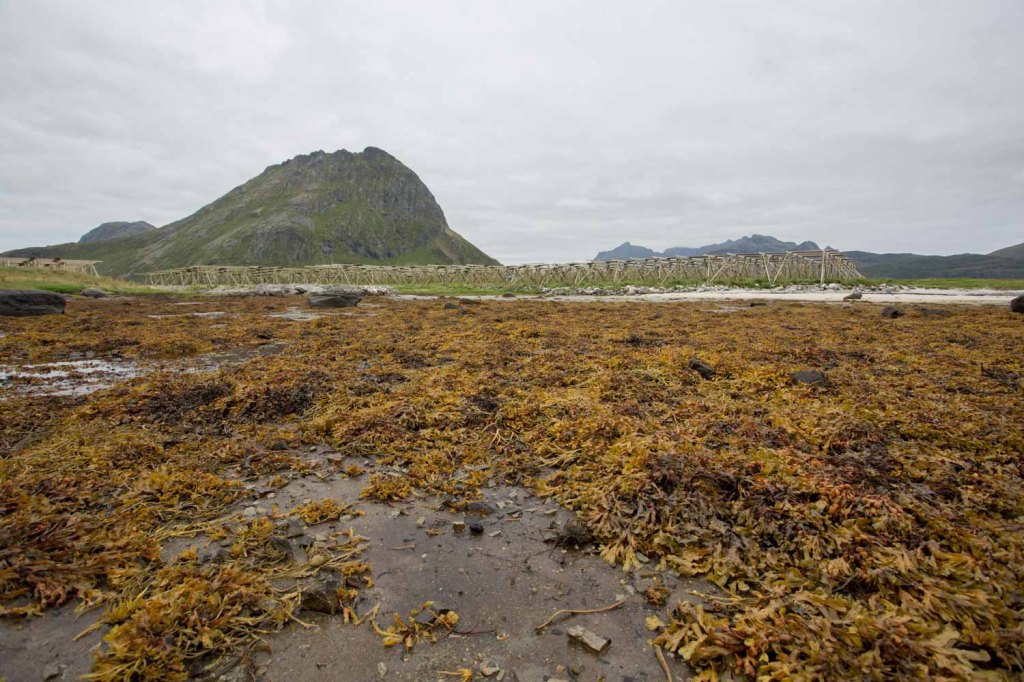triallan-allan-hovda-lofoten-lofoten-triathlon-2016-the-arctic-triple-21