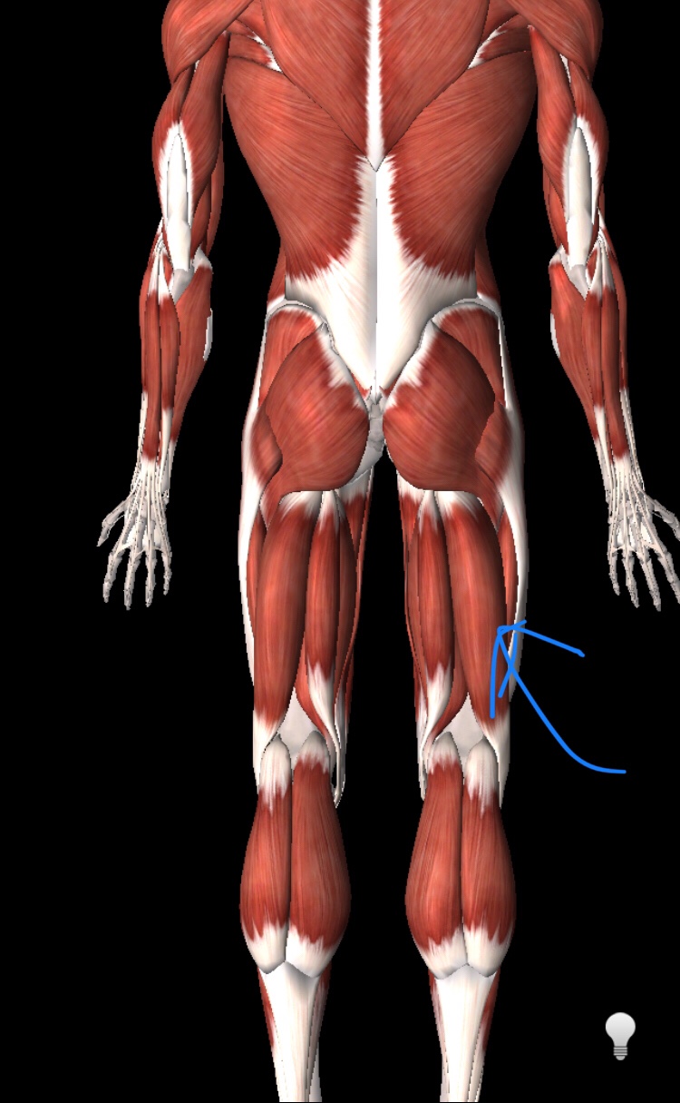 Langvarig strekk på baksiden av&nbsp;låret